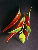 Red chillies with leaves