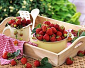 Strawberries in pan and jug