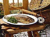 Trout with fresh herbs