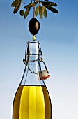 Olivenöl tropft von Olive in eine Flasche