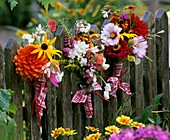 Posies of summer flowers on a fence
