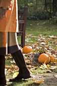 Assorted pumpkins and squashes in a basket, autumn leaves
