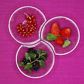 Blackberries, redcurrants and strawberries