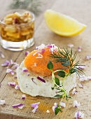 Cheese cake with vendace roe and dill (Sweden)
