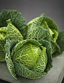 Savoy cabbage