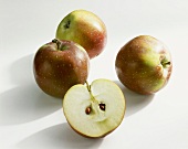 Apples (variety: Berner Rose)