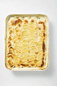 Kartoffelgratin