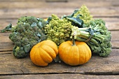 Still life with pumpkins, broccoli and romanesco broccoli
