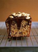 Apricot almond cake with chocolate icing