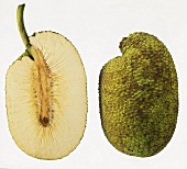 Breadfruit