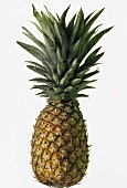 A pineapple