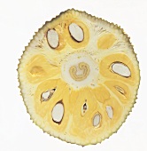 Jackfruit (cross-section)