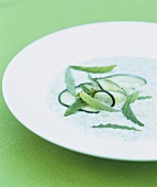 Cold yoghurt and cucumber soup