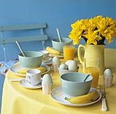 Boiled eggs, orange juice and narcissi on breakfast table