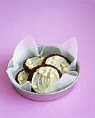 Chocolate biscuits with white chocolate icing