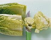 Romaine lettuce hearts