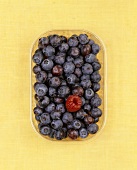 Blueberries and one raspberry in a plastic container