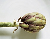 An artichoke