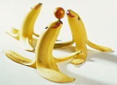 Bananen-Robben