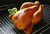 Roast chicken on oven rack