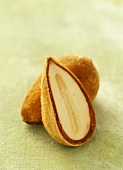 Bunya nuts (Australia)
