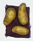 Potatoes, variety: Cilena