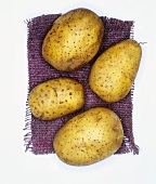 Kartoffeln der Sorte: Solara