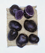 Potatoes, variety: Blauer Schwede (also known as Blue Congo)