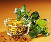 Herbal mixture for tea