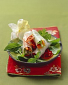 Vietnamesische Reispapierröllchen mit Gemüsefüllung