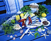 Still life with fish, crayfish and herbs
