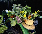 Kräuter, Sommerblumen und Strohhut auf einem Traktor