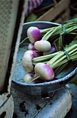 Navette turnips in a weighing scale dish on an old pair of scales