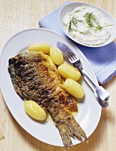 Nuremberg carp (marinated in beer) with creamed horseradish and salted potatoes