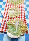 Blanched savoy cabbage leaves