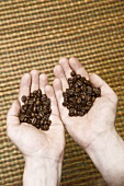 A pair of hands holding coffee beans