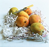 Mangos and a knife on shredded paper