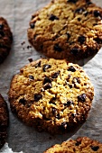 Chocolate chip cookies (close-up)