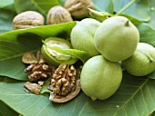 Walnuts, unripe, whole and shelled