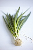 A bunch of spring onions