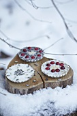 Bird food on a tree stump in the snow