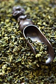 Green tea (dried tea leaves) with a metal scoop