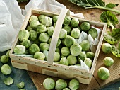 Fresh brussels sprouts in a basket