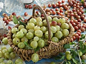 A basket of green gooseberries