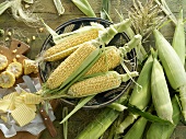 An arrangement of corn cobs and butter
