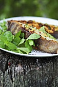 Grilled halibutt with herbs and bean paste