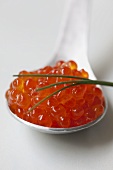 Salmon caviar with chives on a spoon