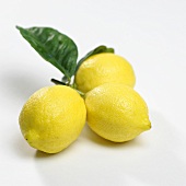 Three lemons with leaves