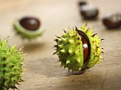 Chestnuts with and without shells