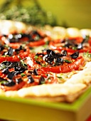 Pizza topped with tomatoes and olives (close-up)